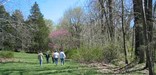 Several walkers pass by trees in spring, Northern detachments route and campground area near Campground Church, Union County, Illinois